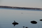 resIMG_20181123_145518_0492.JPG